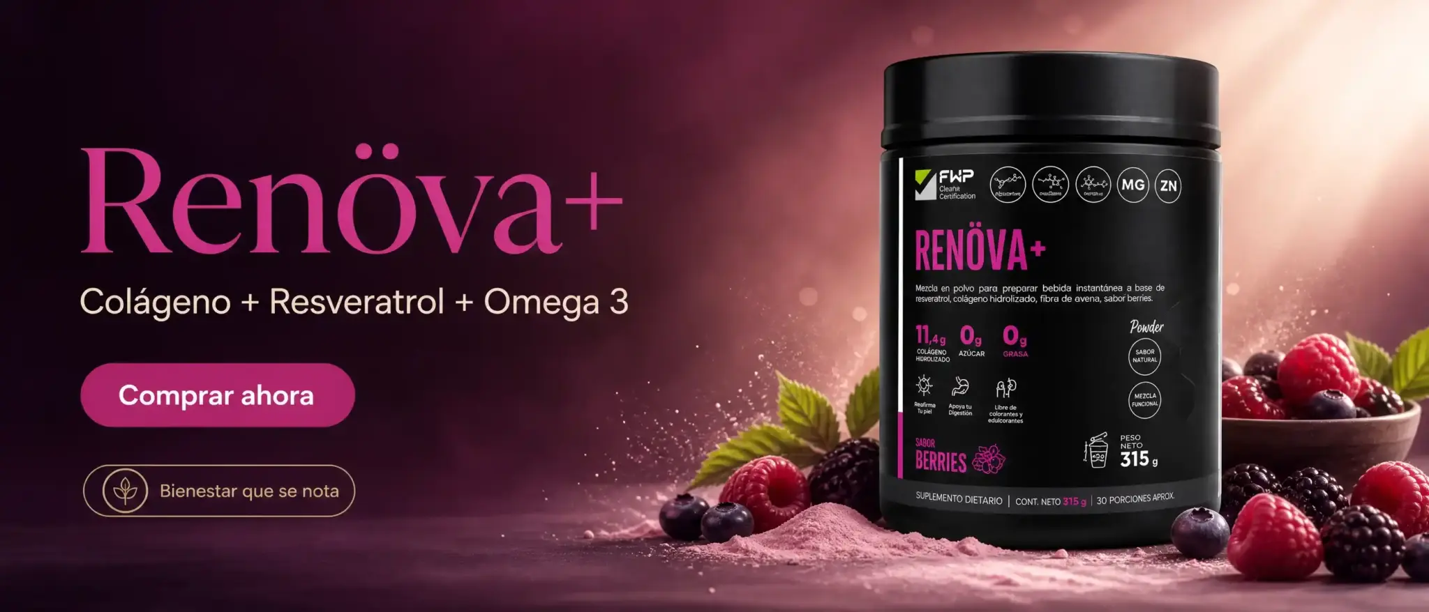 banner_01_renova